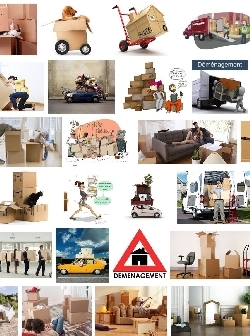 Demenagement Wasquehal
